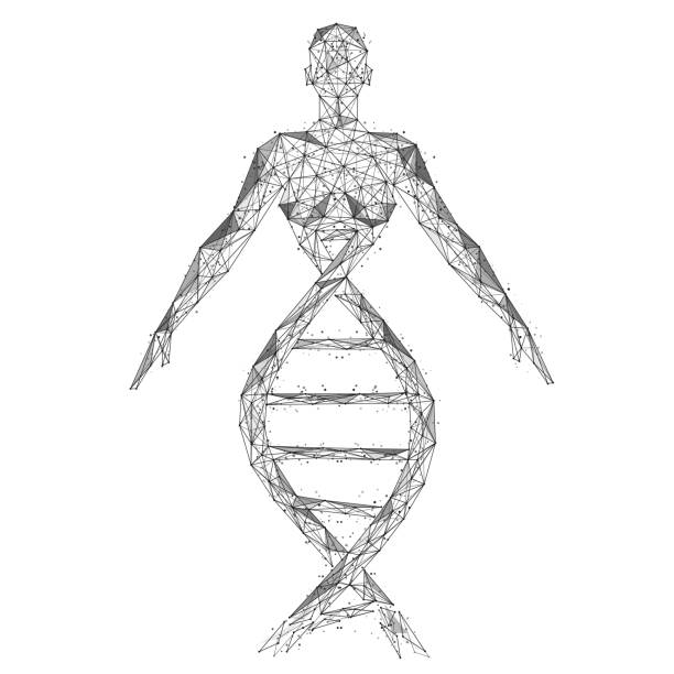istock Upper part of the woman's body is connected to the DNA helix. 1340117924