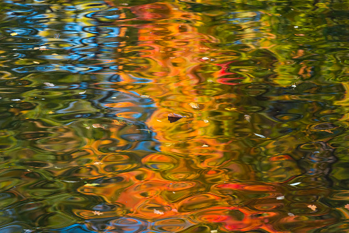 Orange background of radiant water surface with autumn leaves and reflections. Overflows of liquid and color. Multicolored transparent clean water.