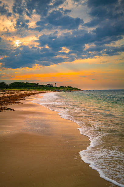 nobska lighthouse before sunrise with glowing golden light illuminating the green hill. seascape with pink dawn sunrays over the martha's vineyard behind the lighthouse in woods hole, massachusetts. - lighthouse massachusetts beach coastline imagens e fotografias de stock