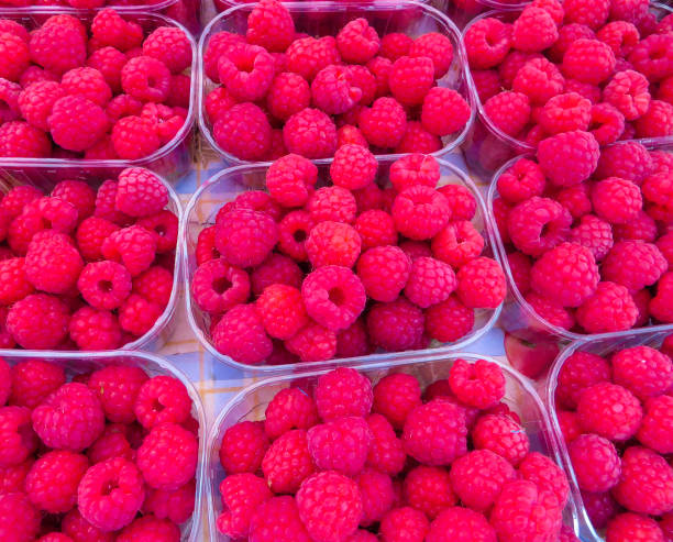 istock Pink Raspberries in Market Stall 1340119562