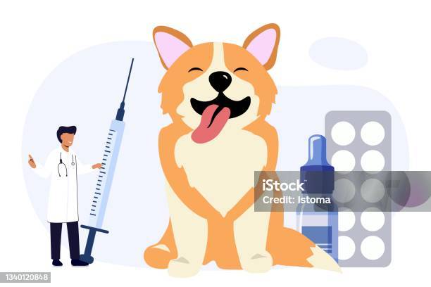 Pet Vet Veterinary Doctor Animal Clinic Dog Pills Flat Icon Veterinary  Hospital Services And Domestic Animals Hotels Dogs Grooming And Health  Check Center Vet Clinic Pet Services Sitters Metaphors Stock Illustration -