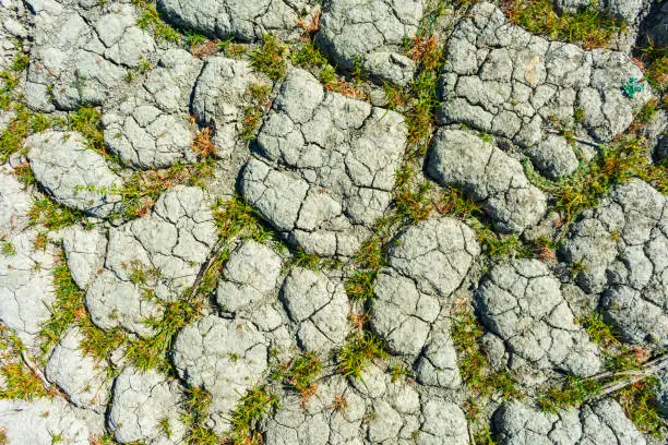 Dry cracked earth, ground with patches of green grass during summer drought