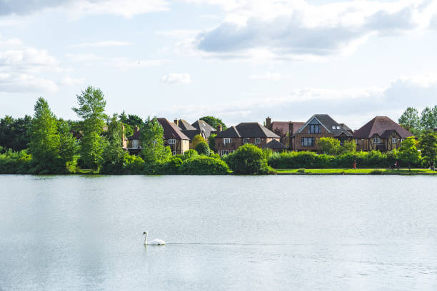 istock Furzton Lake  under blue cloudy sky in Milton Keynes 1340124765