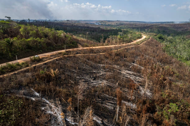 istock Deforestation and burning on rural properties in the Amazon forest 1340128033