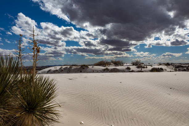 istock Landscape from White Sands National Park, New Mexico 1340128986