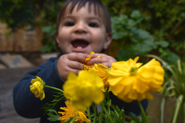 foreground flowers
