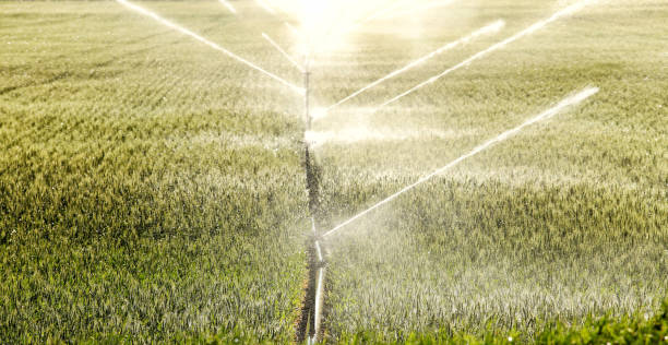 istock Agricultural hand line sprinkler system 1340136757
