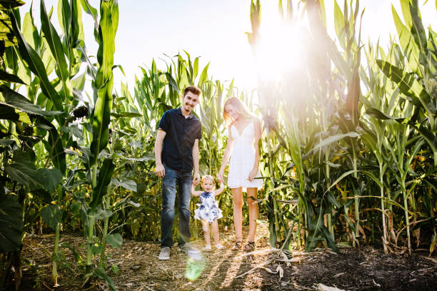 istock Cute Young Family In Cornfield 1340138897