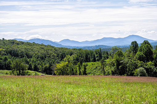 Rockfish valley in Afton, Virginia Blue Ridge appalachian mountains in summer with nobody and scenic lush foliage landscape