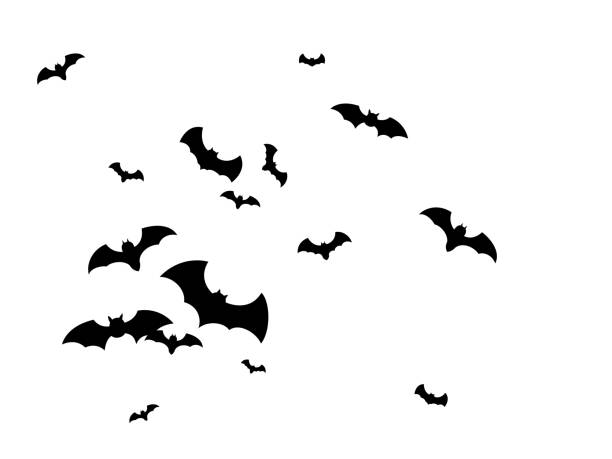 illustrations, cliparts, dessins animés et icônes de troupeau chauve-souris isolée. beaucoup de chauves-souris volantes sur blanc. - bat halloween silhouette wing