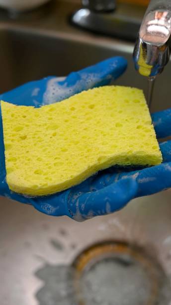 istock A sponge in a hand with glove 1340144084