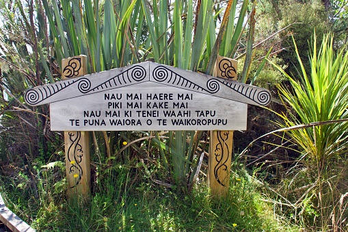 Takaka, Tasman District, New Zealand - 22 January 2020. Wooden Sign in Te Reo Maori at Te Waikoropupu Springs. The freshwater springs are known for their clarity of water and are a spiritually significant natural feature to the Maori people.