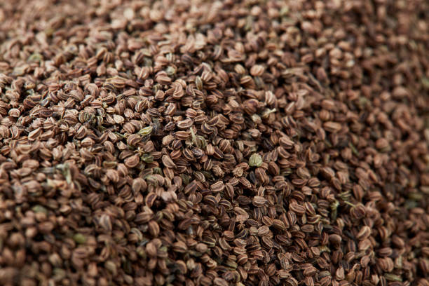istock Celery seeds background showing details and texture 1340145743