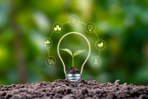 istock Tree growing on soil and environmentally friendly energy icons. earth day concept renewable energy to generate electricity 1340147936
