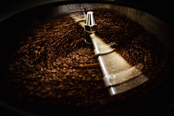 roasted  spinning cooler professional machines and fresh brown coffee beans movement close up dark photo at factory chiang rai Thailand