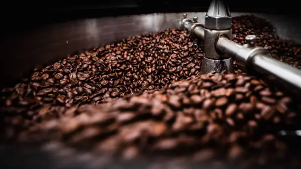 fresh coffee beans and roasted spinning cooer professional machine close up photo blur and dark background at factory chiang rai Thailand