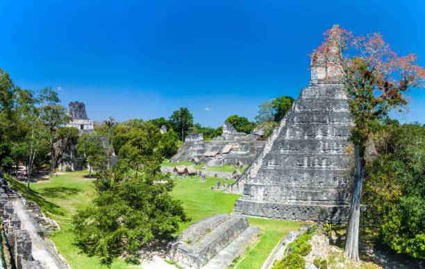 istock Gran Plaza at the archaeological site Tikal, Guatema 1340148485