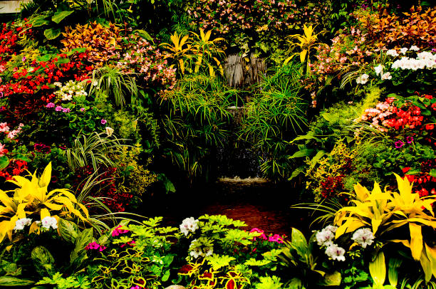 istock Beautiful park on Vancouver Island in Canada 1340151318