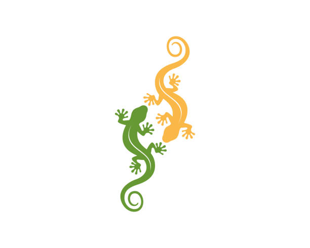 Two gecko with green and yellow color Two gecko with green and yellow color chameleon icon stock illustrations