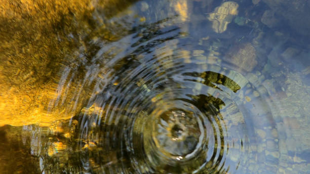 istock water river rocks stone nature 1340154275