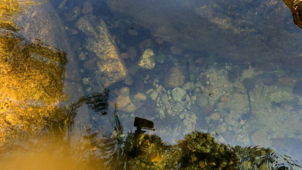 istock water river rocks stone nature 1340154278