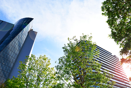 Low angle of modern corporate buildings with greenery.