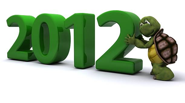 istock Tortoise Bringing the new year in 134016737