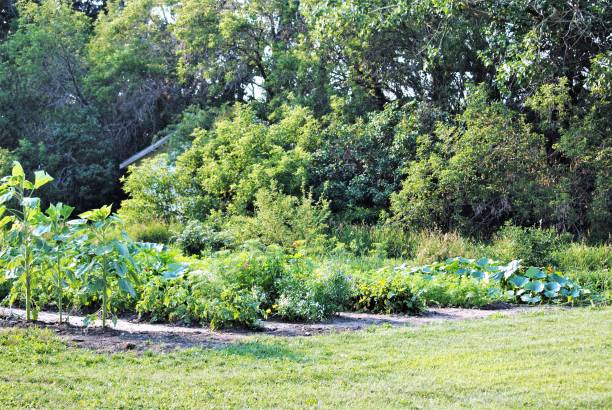 istock Beautiful Summer Country Garden 1340167669