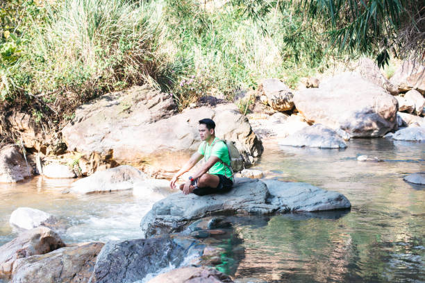 istock Go where the wild things are 1340169712
