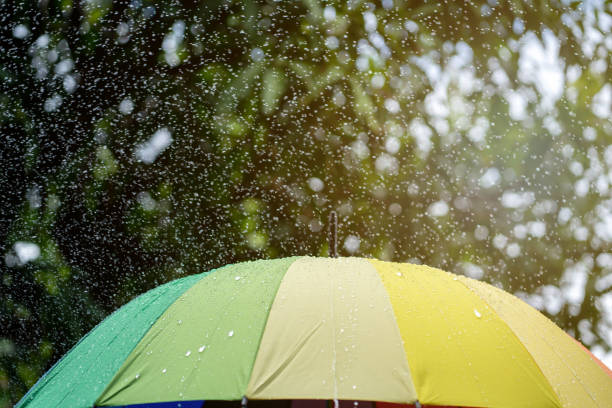 istock Water drops and rainbow umbrellas. Light rain. Cloudy weather. 1340178923