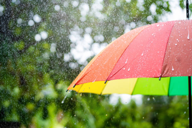 istock Colorful umbrella in rainy weather. 1340178940