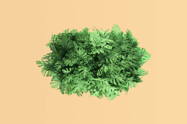 istock 3d illustration. Tropical leaves natural background 1340184340
