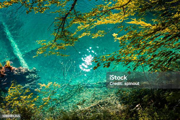 Plitvička Jezera Stock Photo - Download Image Now - Beauty In Nature, Blue, Calm Water
