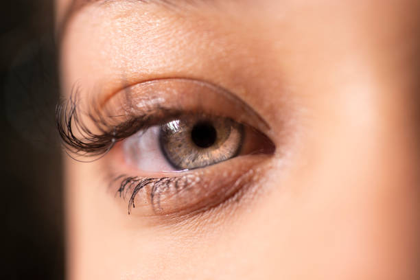 istock Light eyes of a woman looking tenderly 1340185093