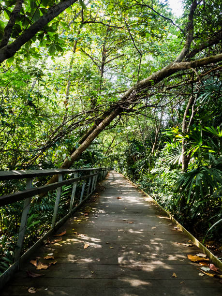 istock Empty hiking trail in a nature park 1340185673