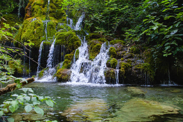 Waterfall on a River in a Fairy Forest, Italy