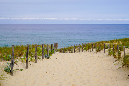 A double row of wooden sand fences on a Florida beach