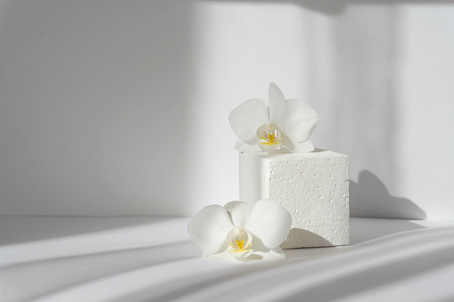 Stand cuadrado blanco para presentaciones de envases y cosméticos con delicadas flores de orquídeas al sol. Concepto de podio 3D para demostraciones de productos photo