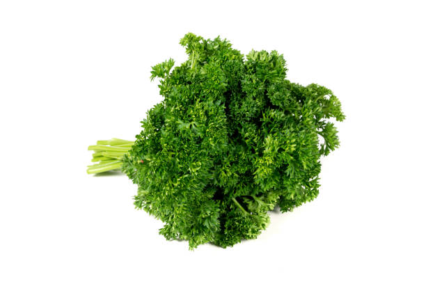 istock Bunch of curly chervil on a white background. Curly Leaf Parsley 1340196889