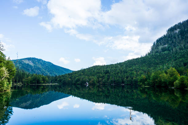 istock Reflection of a mountain and forests in a lake 1340203925