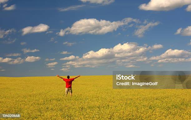 男性の手の上昇中で黄色のクローバーフィールド - クローバーのストックフォトや画像を多数ご用意 - クローバー, 男性, 草地