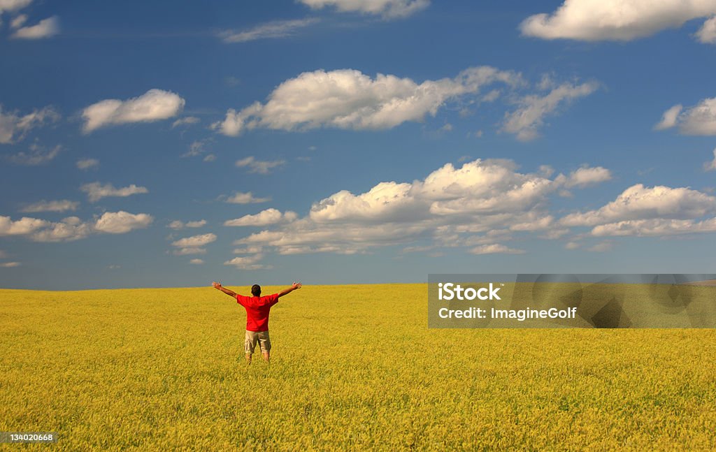 Mężczyzna budzi jego ręce na powietrzu w żółtym polu clover - Zbiór zdjęć royalty-free (Koniczyna)