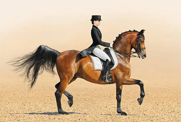 Equestrian sport - dressage (young woman and chestnut stallion)