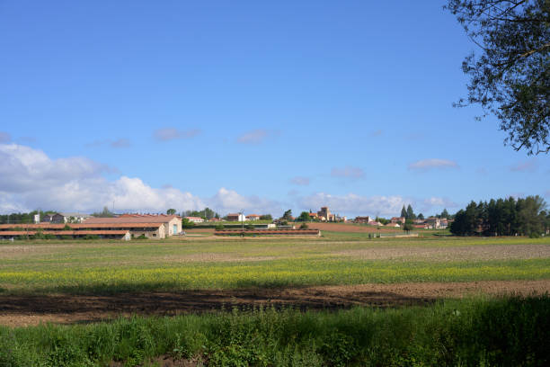 istock Panoramic view of Quintana Redonda 1340209600