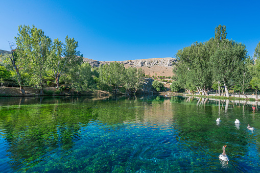 Gorgeous Gökpınar pond with its clear turquoise water and underwater plants in green nature, Sivas - Gürün TURKEY
