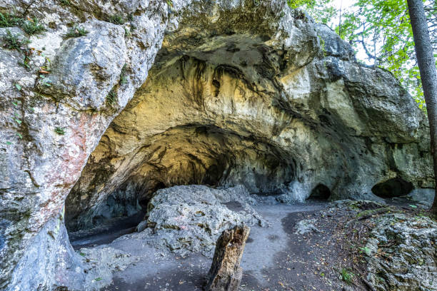 versteckte höhlen im wald am markt essing über der altmühl in bayern, deutschland - essing stock-fotos und bilder