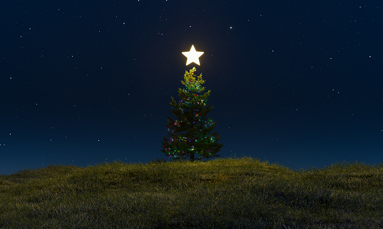 Christmas tree on a green meadow in the starry night with a shining star on top. 3d rendering