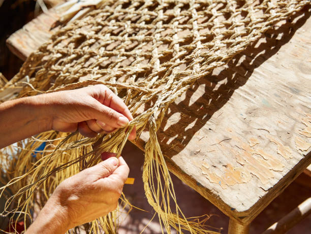 istock Esparto halfah grass crafts craftsman hands 1340213136