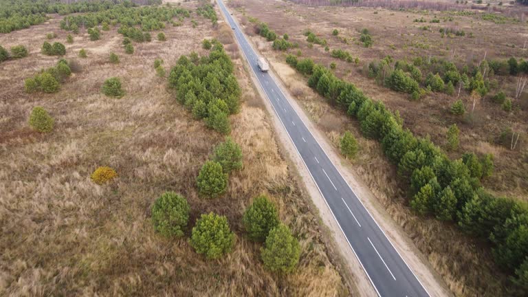 Not a big country road in a field with green fir trees, aerial view