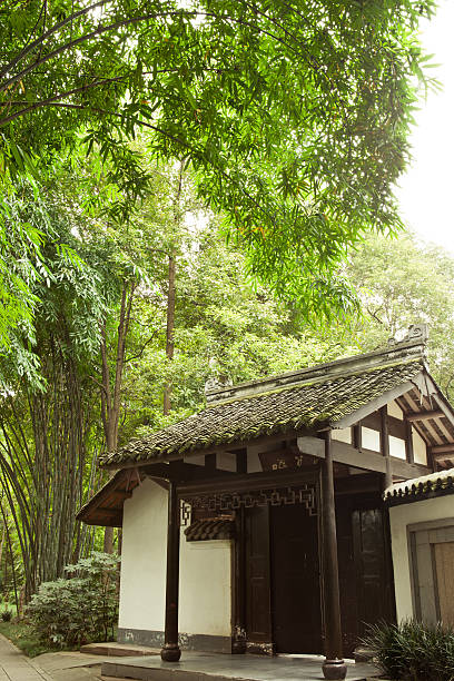 istock Chinese style residential in bamboo forest 134021569